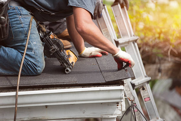 Best Storm Damage Roof Repair  in Norwood, OH